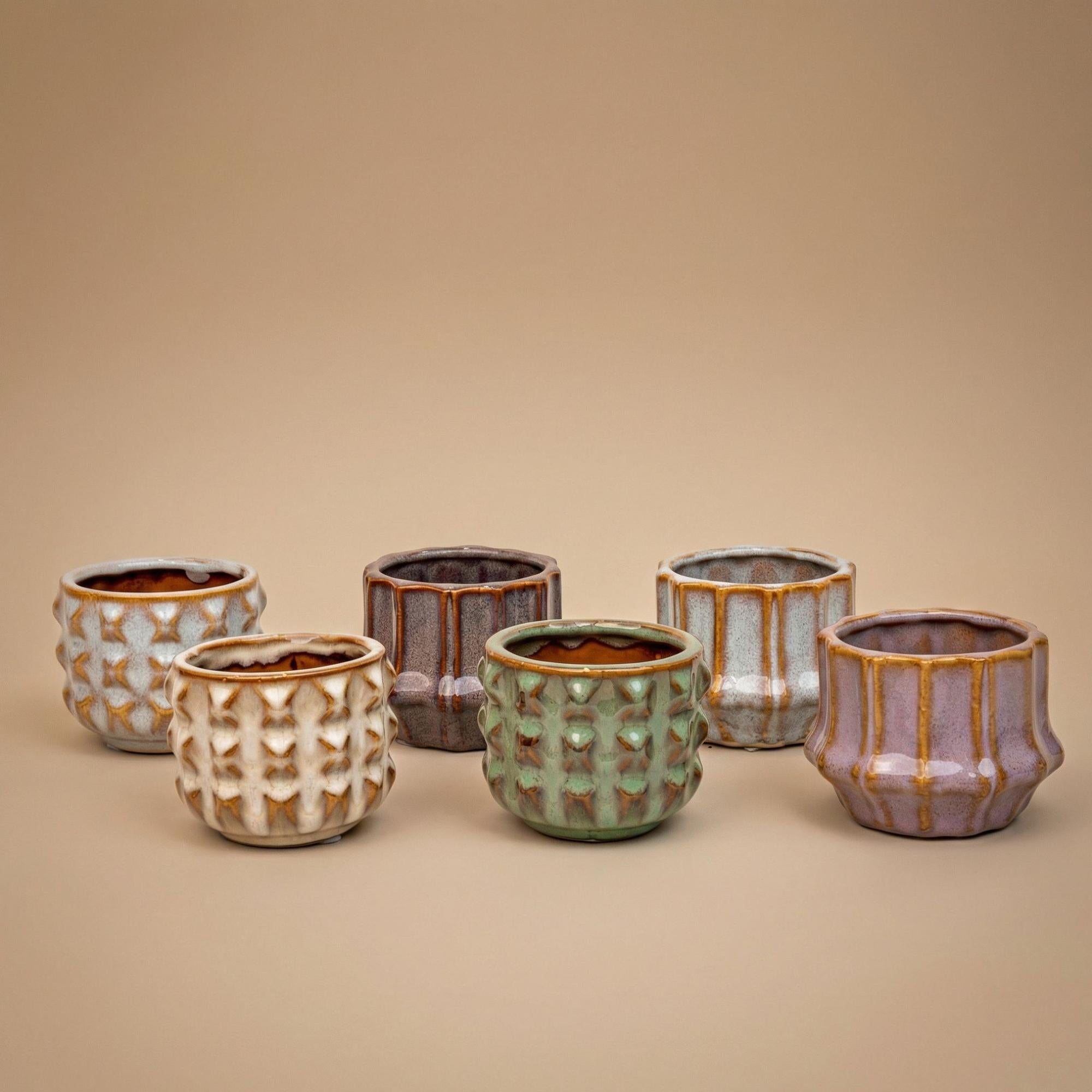 Kaktus-Set 6x mit Töpfen San Juan (Kaktus-Mix)