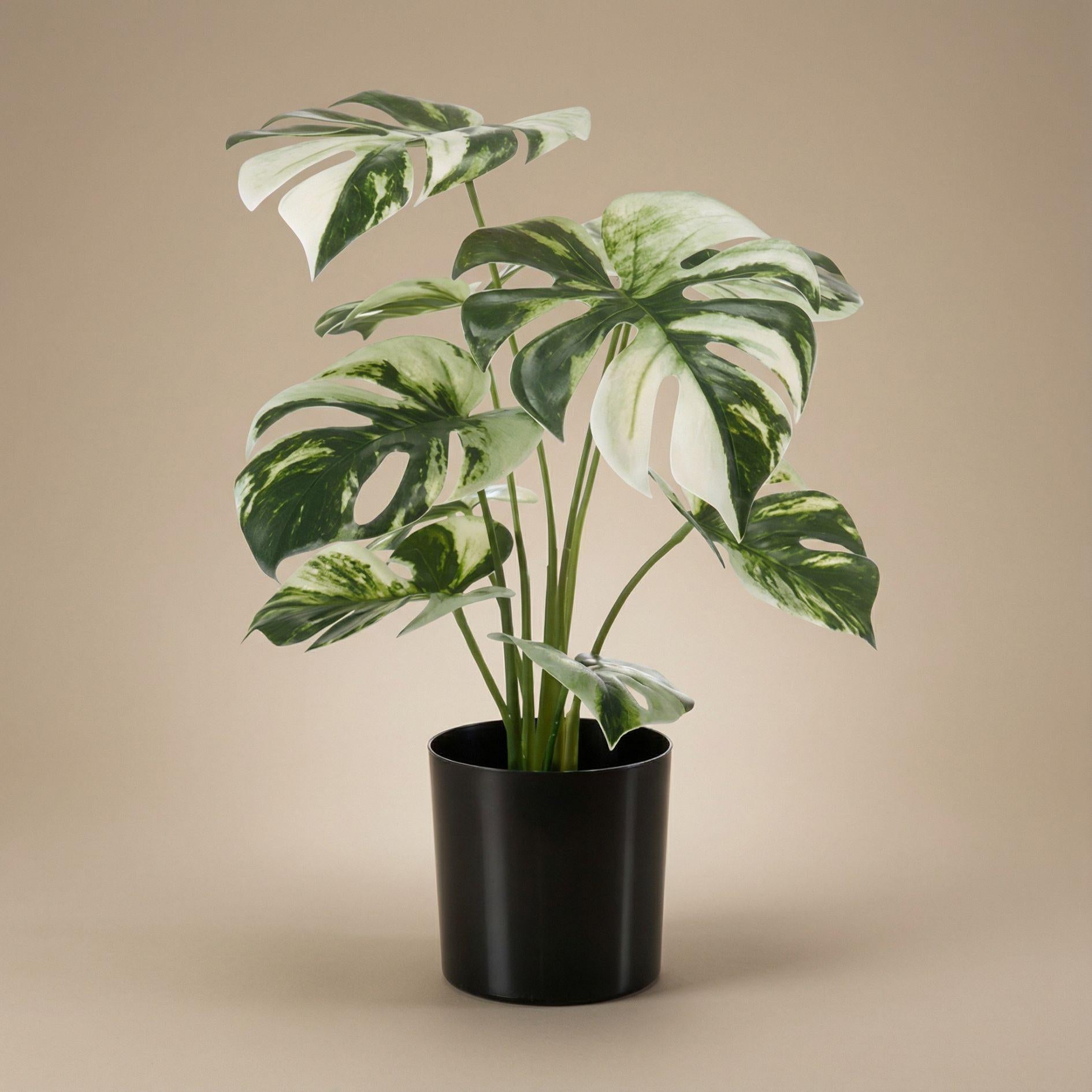 Kunstpflanze Monstera Bush (Fensterblatt)