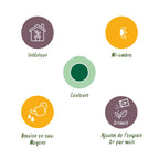 Howea forsteriana – Die elegante Kentia-Palme