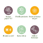 Ilex meserveae 'Blue Maid' – Die edle Blaue Heckenkirsche