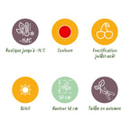 Erdbeere 'Maxim' – Die Riesenerdbeere im 3er-Set