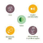 Dieffenbachia Tropic Snow – Ø 21 cm, 90–100 cm