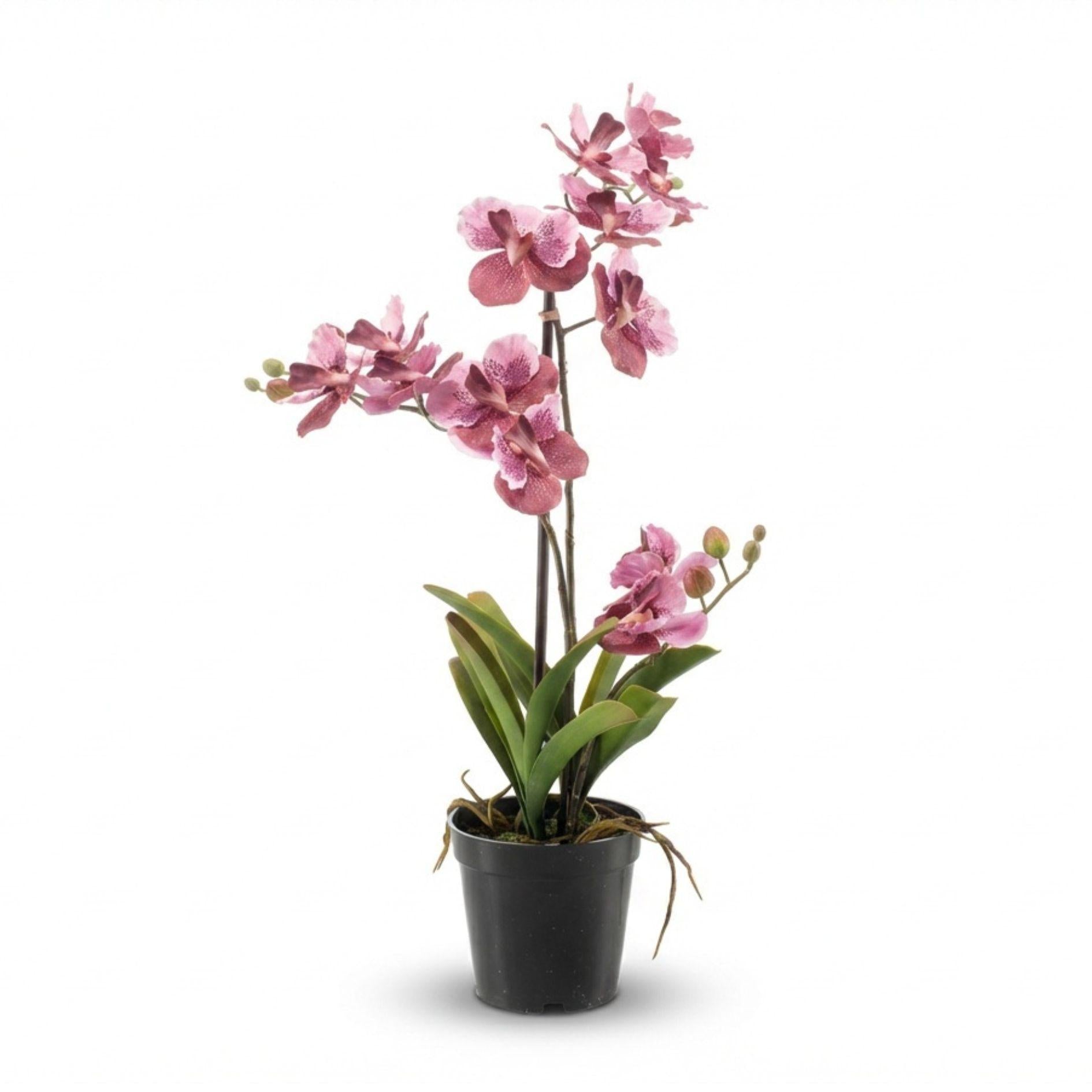 Kunstpflanze Orchidee Vanda – Oudroze