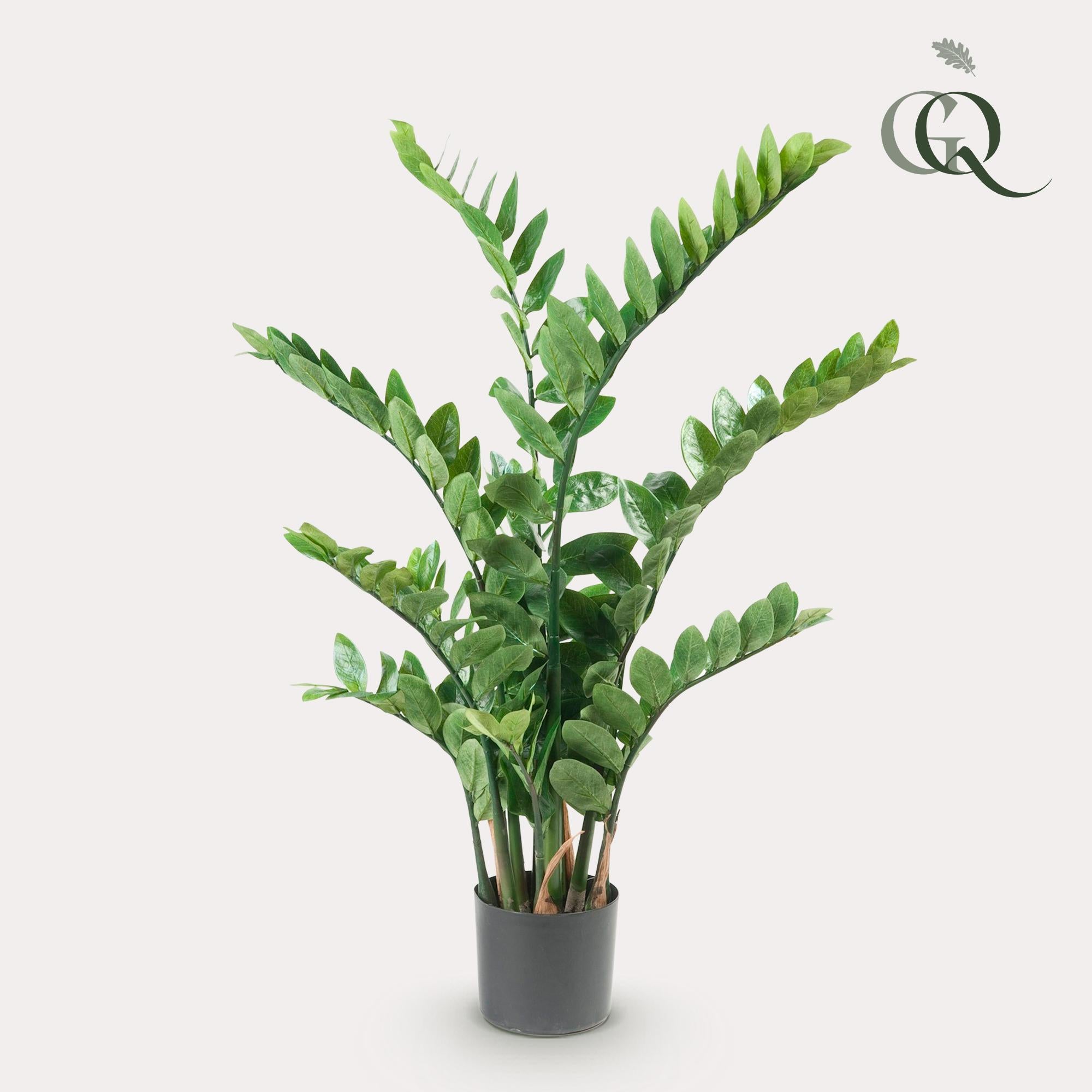 Kunstpflanze - Zamioculcas - Zimmerpalme