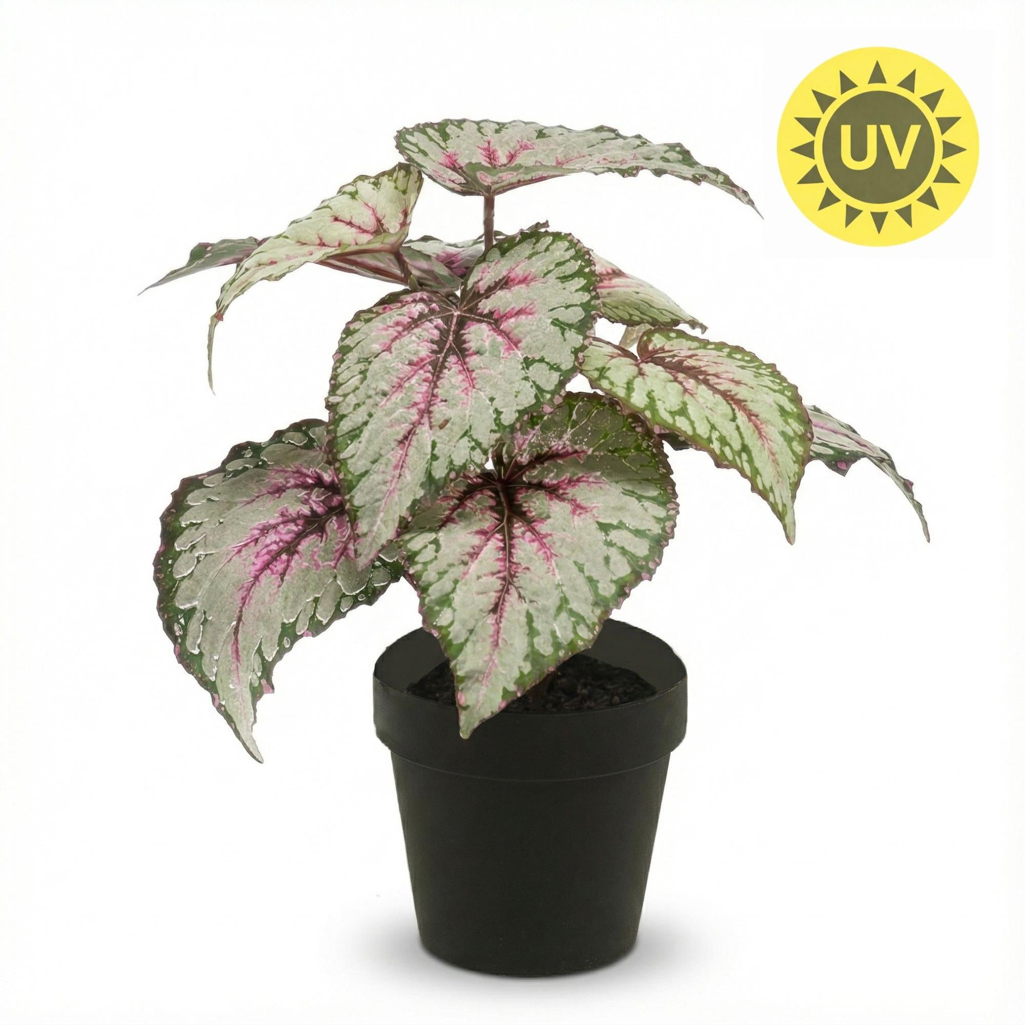 Kunstpflanze Begonia – UV-Resistent (Indoor & Outdoor)