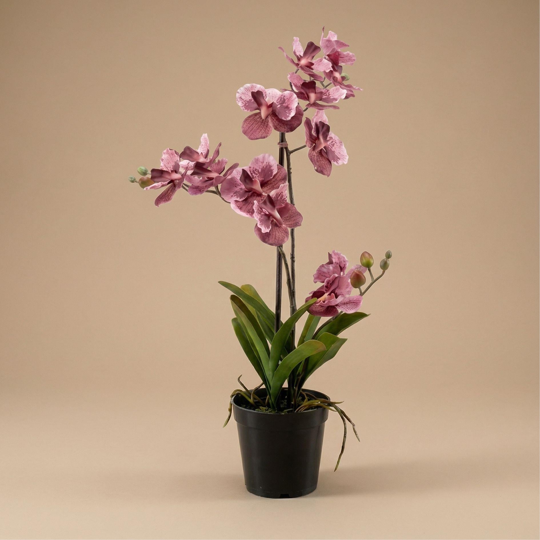 Kunstpflanze Orchidee Vanda – Oudroze