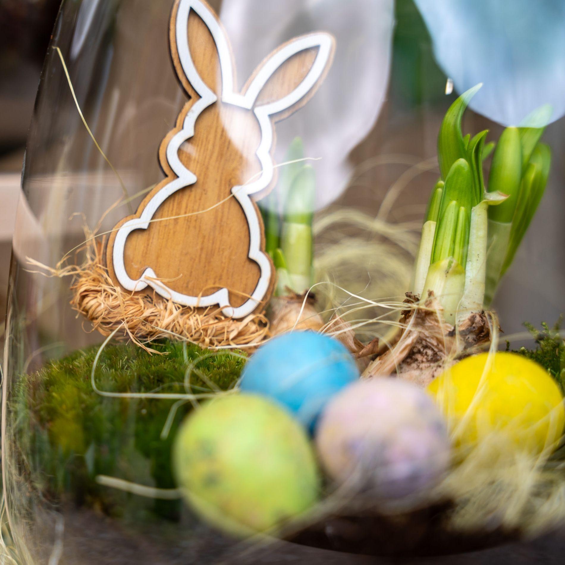 Emma Mini Oster – Dein kleiner Frühlingsgarten im Glas