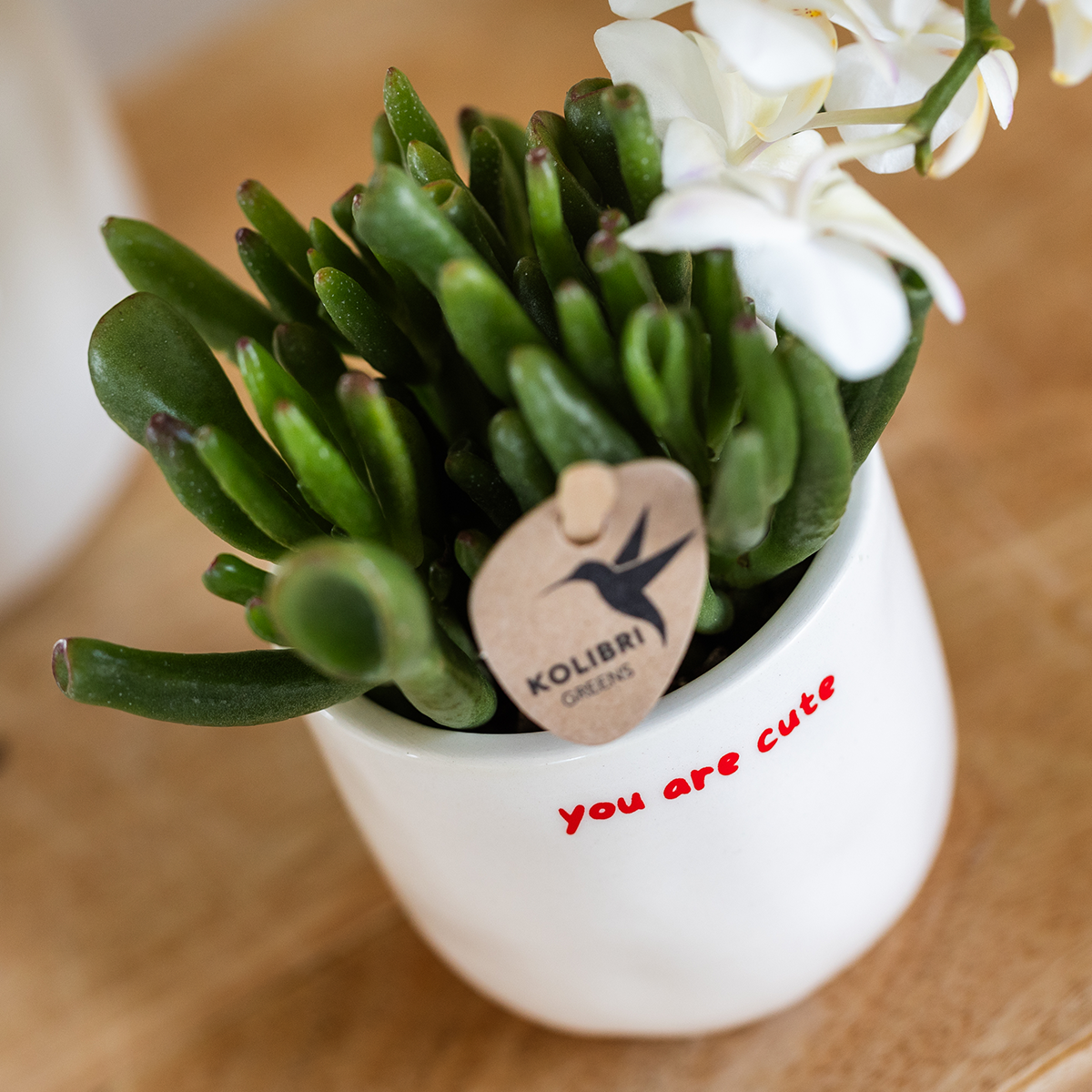 Geschenkset: Kolibri „Love You“ – Red Orchid & Greenery