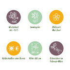 Ilex meserveae 'Blue Maid' – Die edle Blaue Heckenkirsche