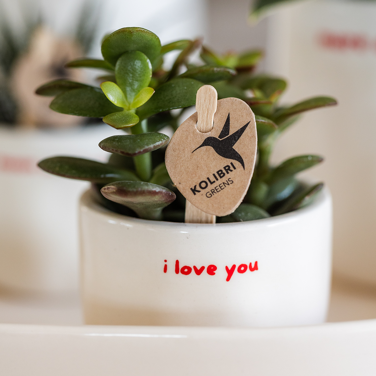 Geschenkset: Kolibri „Love You“ – Red Orchid & Greenery