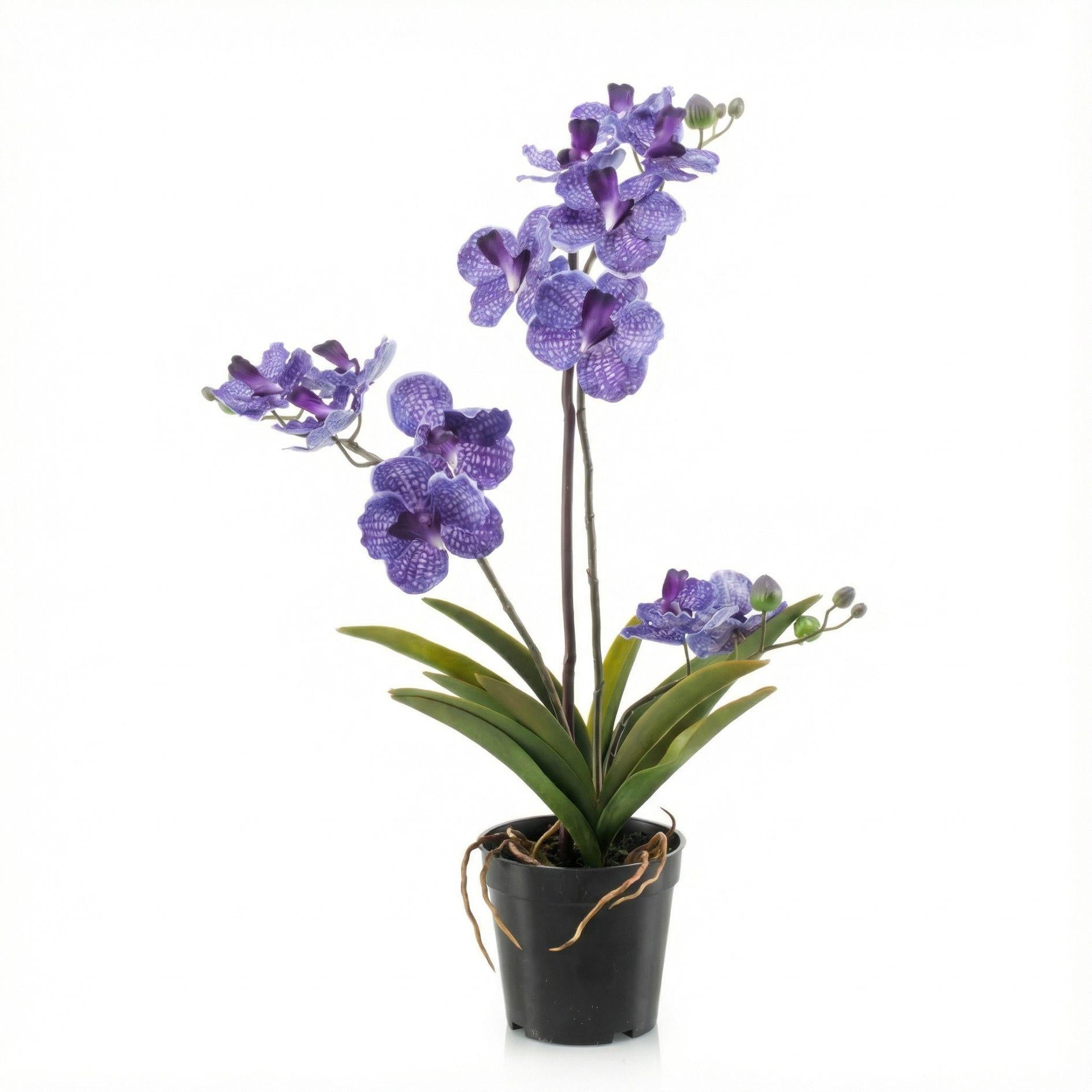 Kunstpflanze Orchidee Vanda – Purple (Paars)