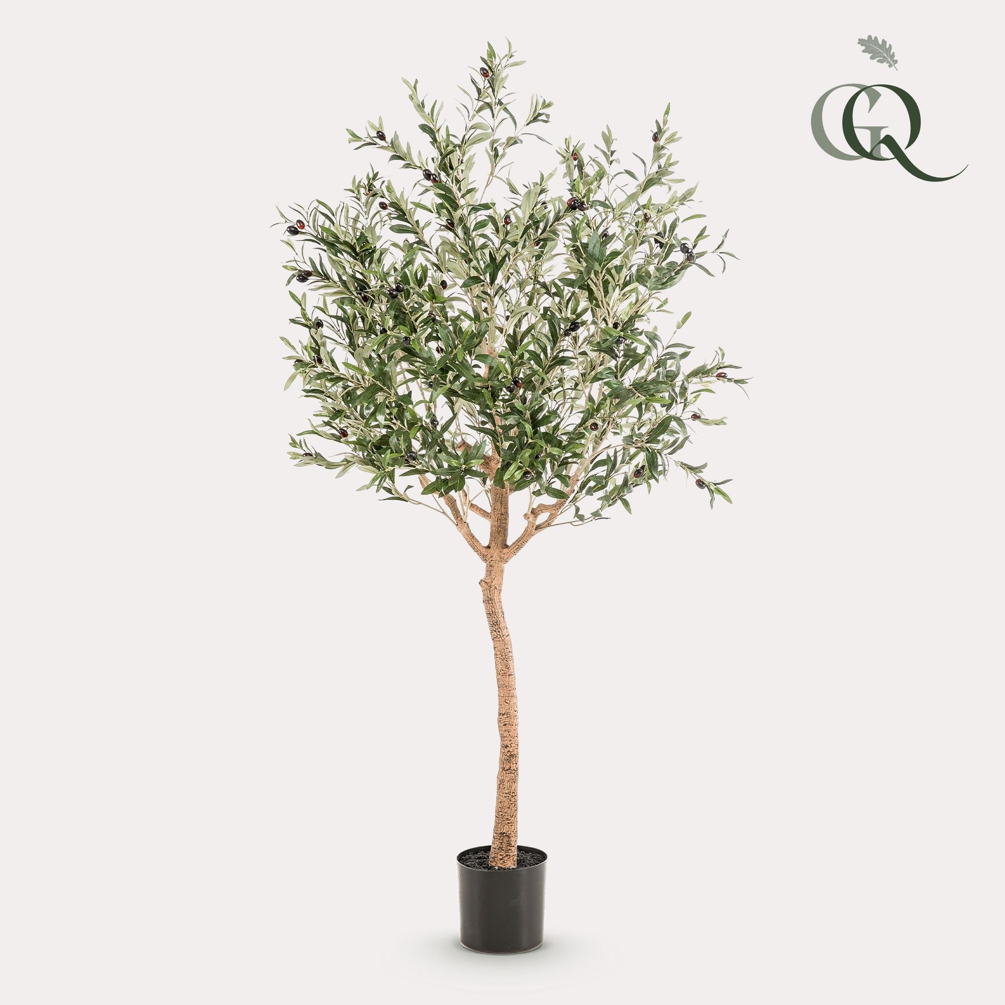 Kunstpflanze - Olea europaea - Olivenbaum