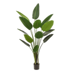 Kunstpflanze - Strelitzia Nicolai - Paradiesvogelblume
