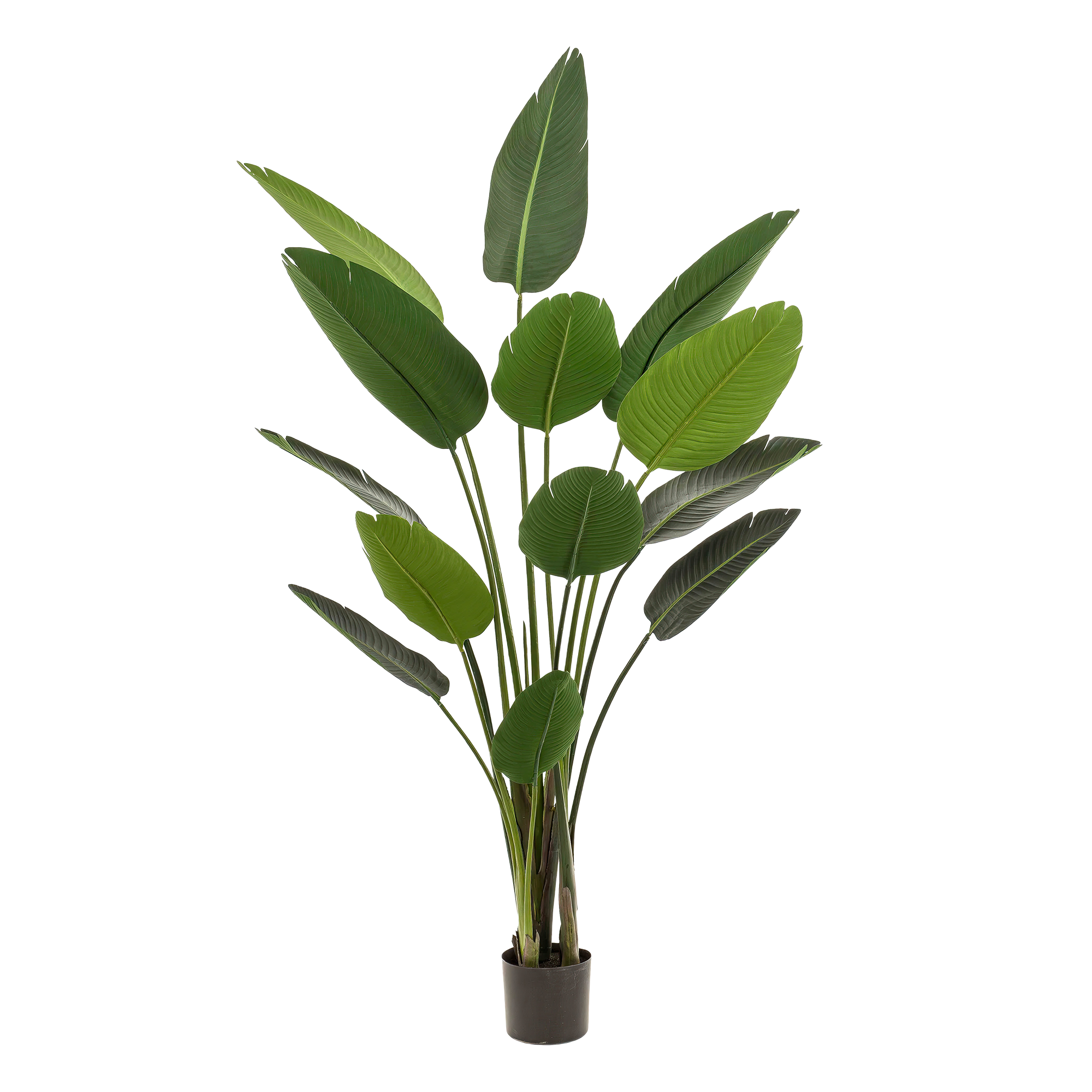 Kunstpflanze - Strelitzia Nicolai - Paradiesvogelblume