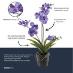 Kunstpflanze Orchidee Vanda – Purple (Paars)
