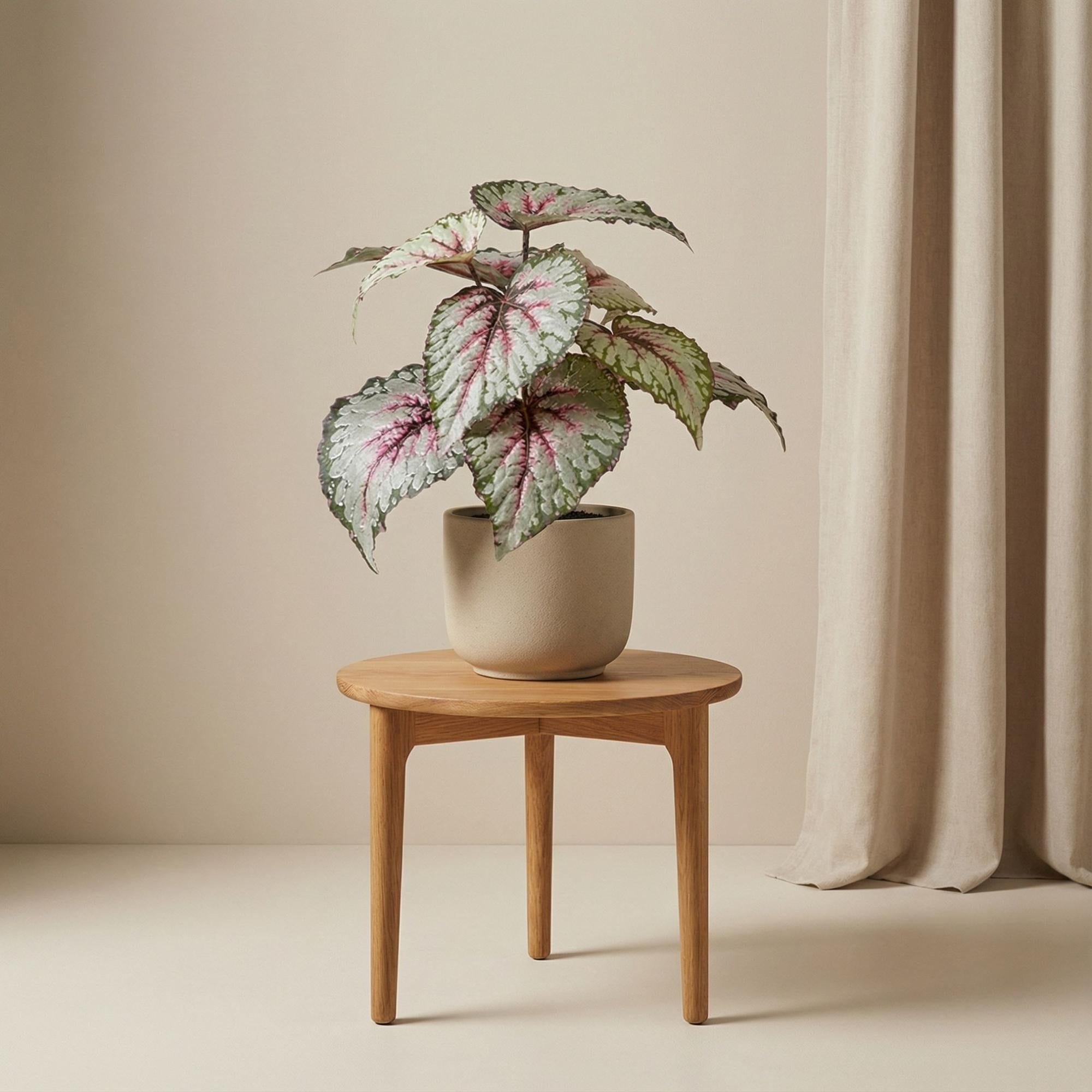 Kunstpflanze Begonia – UV-Resistent (Indoor & Outdoor)