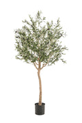 Kunstpflanze - Olea europaea - Olivenbaum