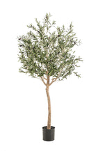 Kunstpflanze - Olea europaea - Olivenbaum