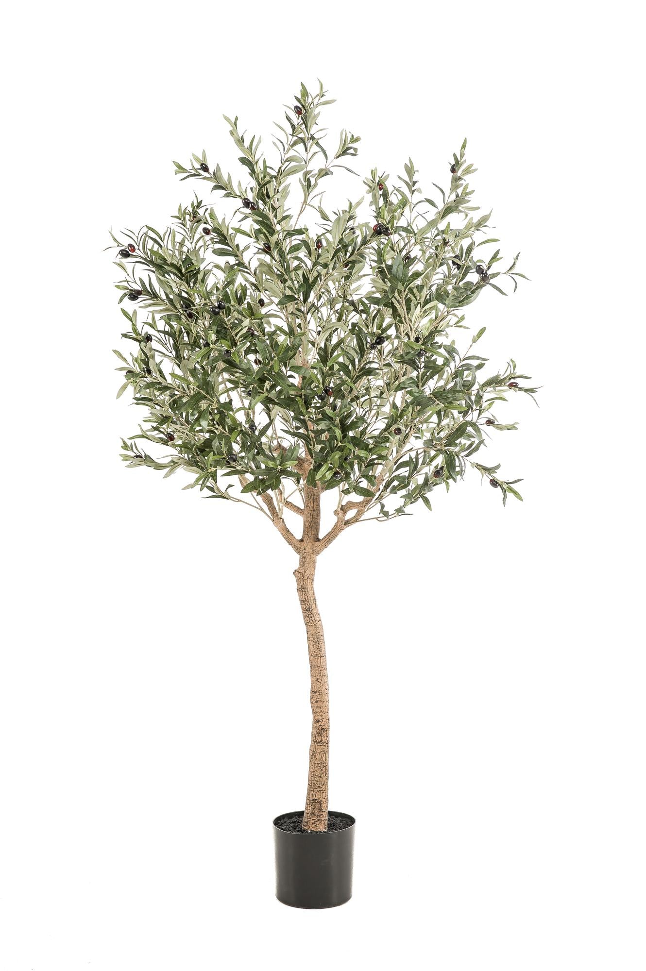 Kunstpflanze - Olea europaea - Olivenbaum