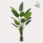 Kunstpflanze - Strelitzia Nicolai - Paradiesvogelblume