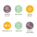 Ilex meserveae 'Blue Maid' – Die edle Blaue Heckenkirsche