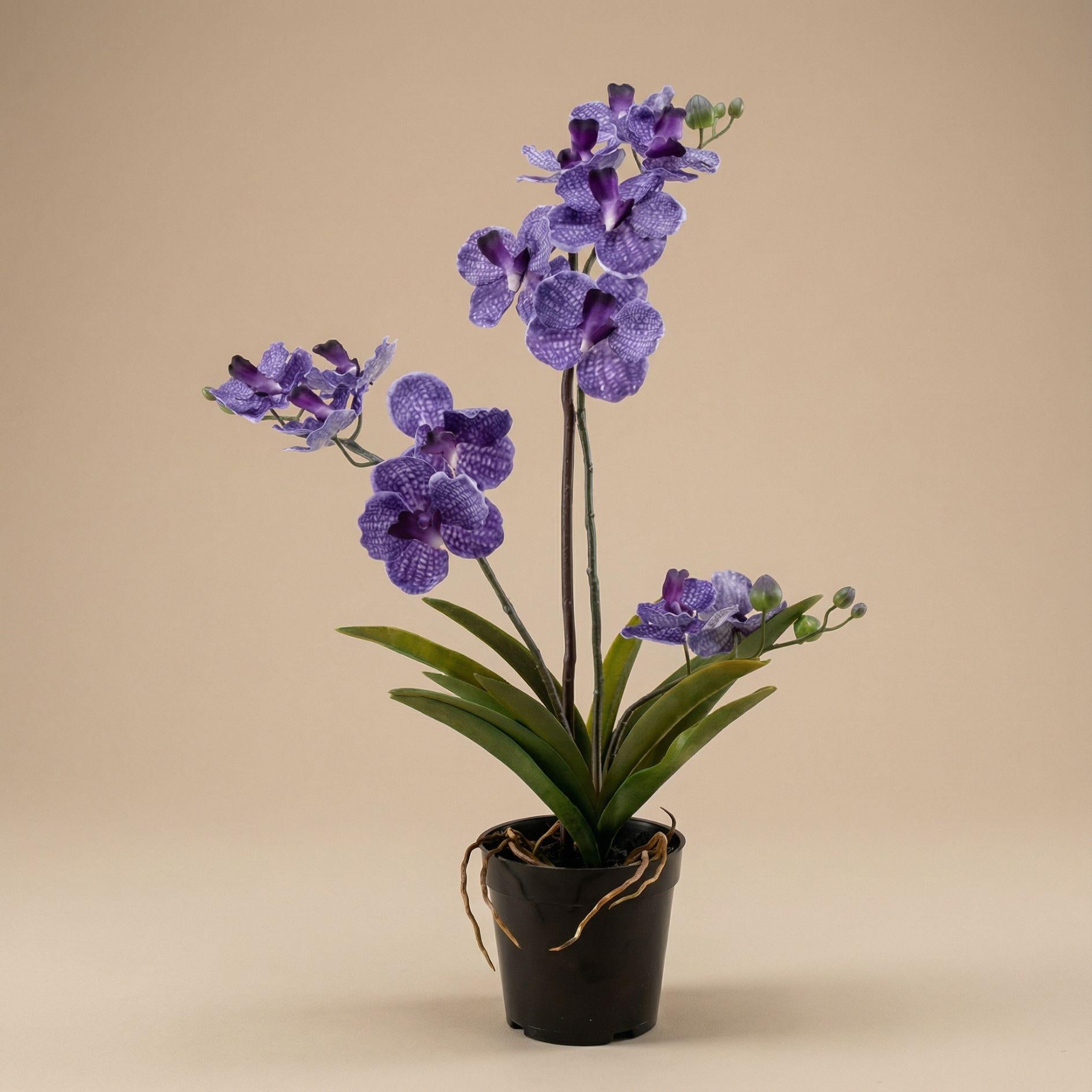 Kunstpflanze Orchidee Vanda – Purple (Paars)